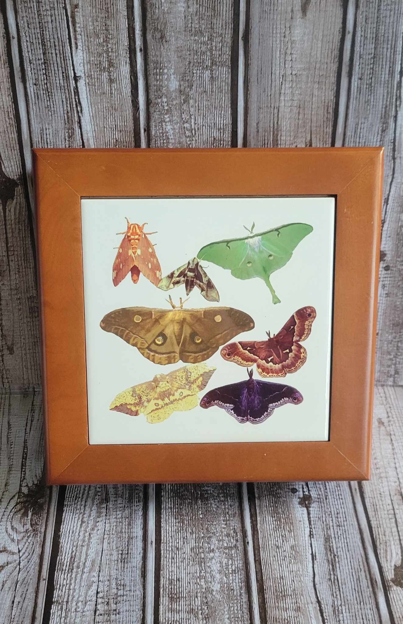Scott Shupe Large Wooden Box - Butterflies