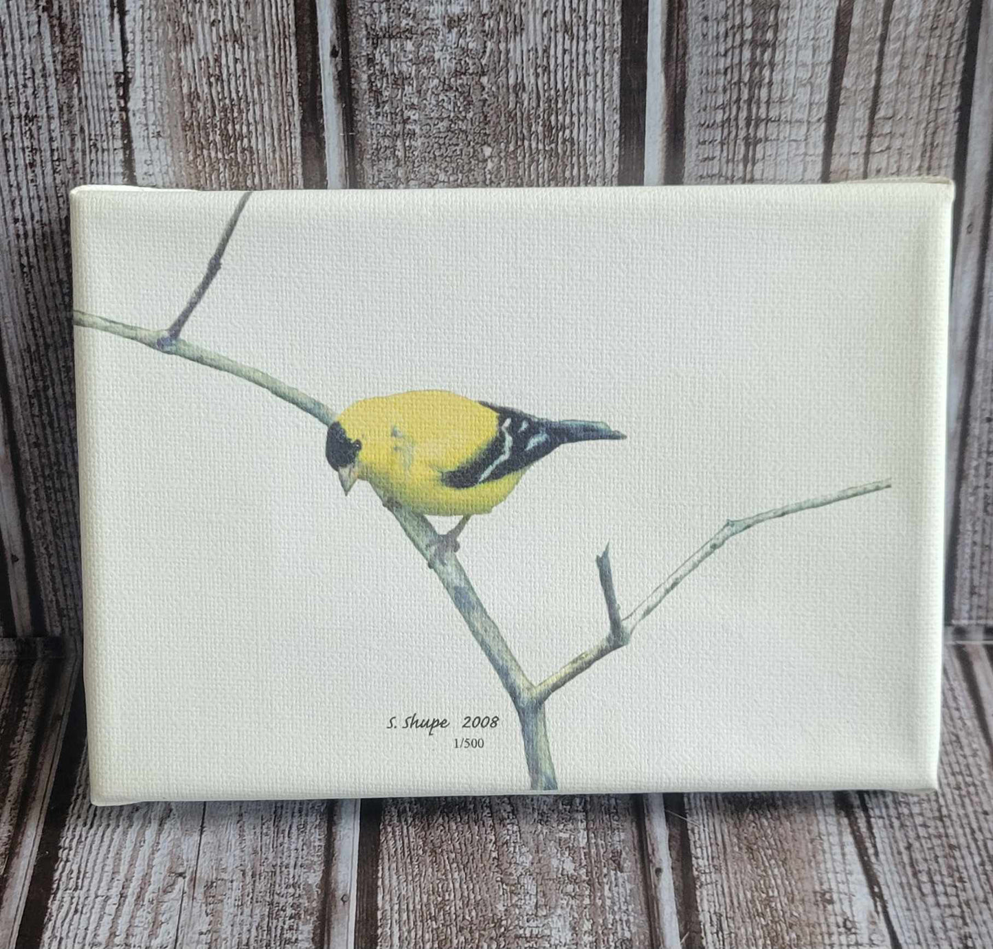 Scott Shupe Stretch Canvas Art - Bird