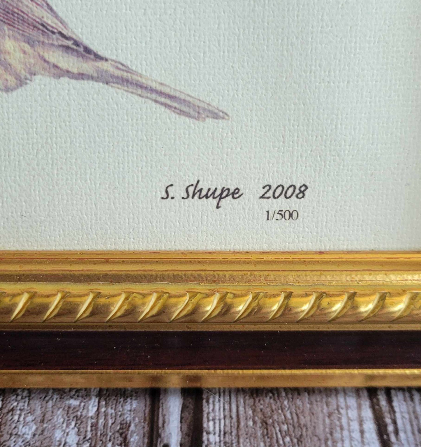 Scott Shupe Framed Art - Damage on Corner Frame - Bird