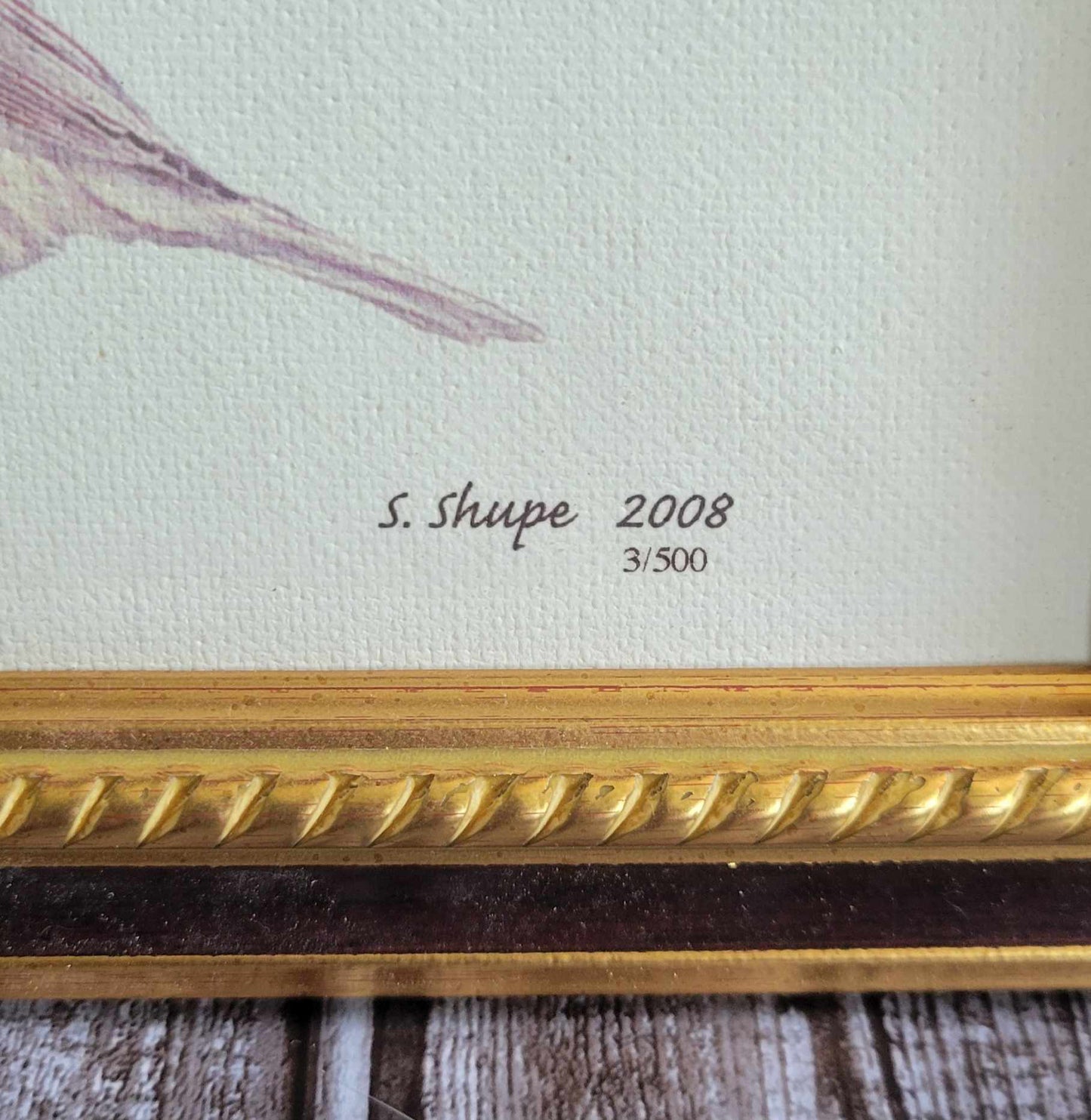 Scott Shupe Framed Art - Damage on Corner Frame - Bird