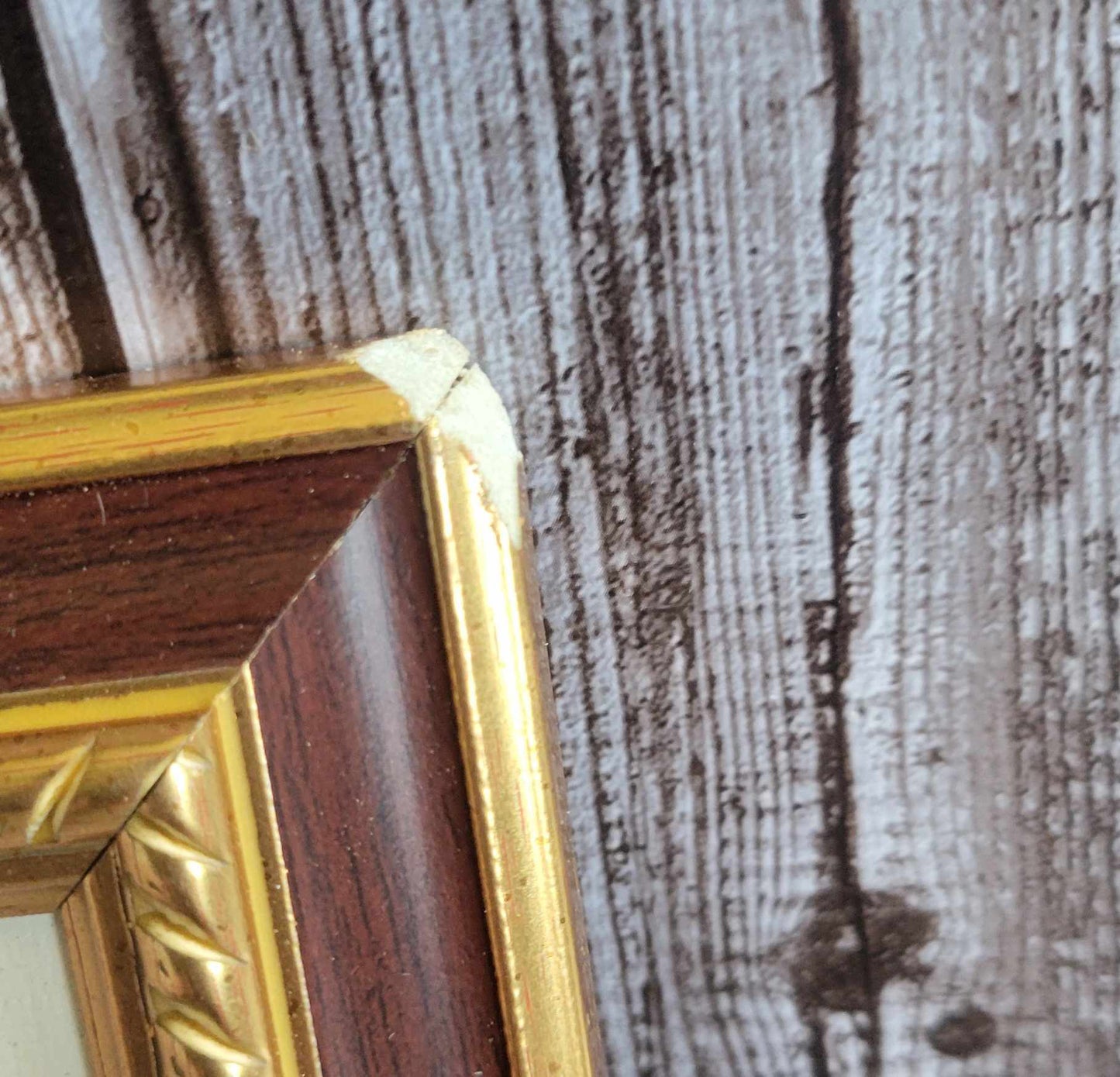 Scott Shupe Framed Art - Damage on Corner Frame - Bird