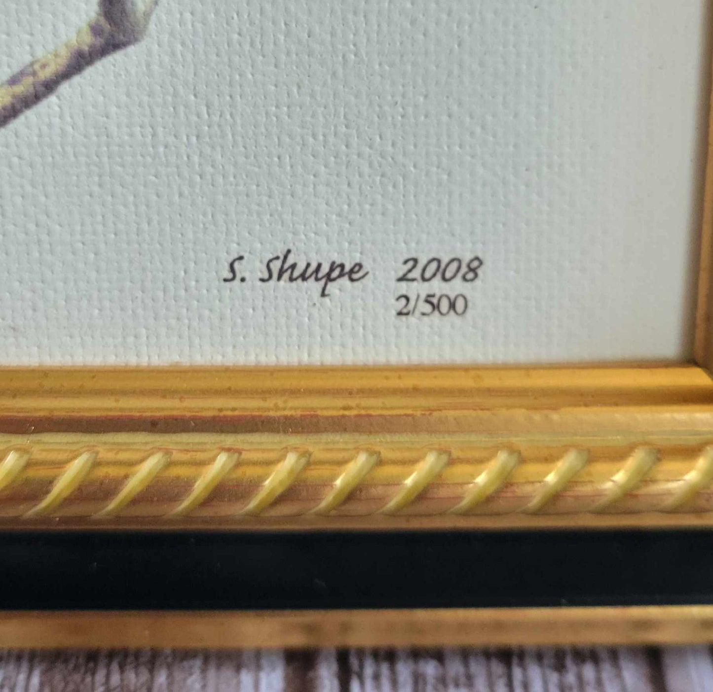 Scott Shupe Framed Art - Damage on Corner Frame - Bird