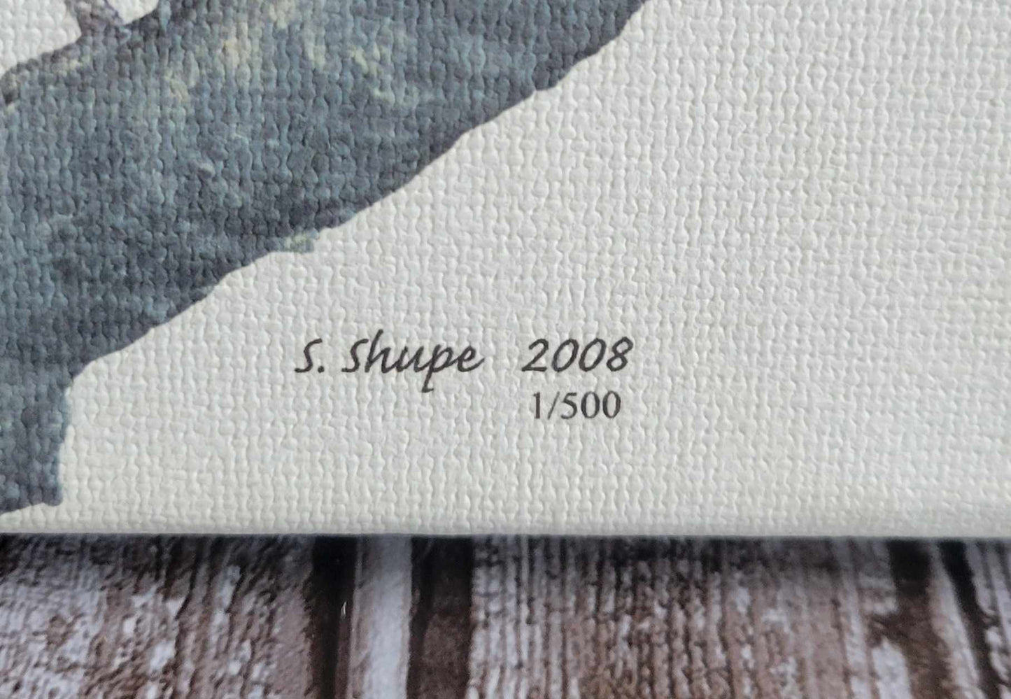 Scott Shupe Stretch Canvas Art - Bird