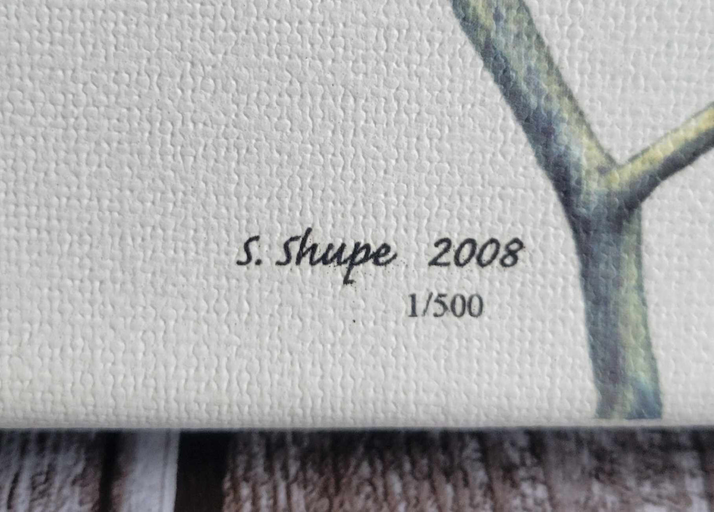 Scott Shupe Stretch Canvas Art - Bird