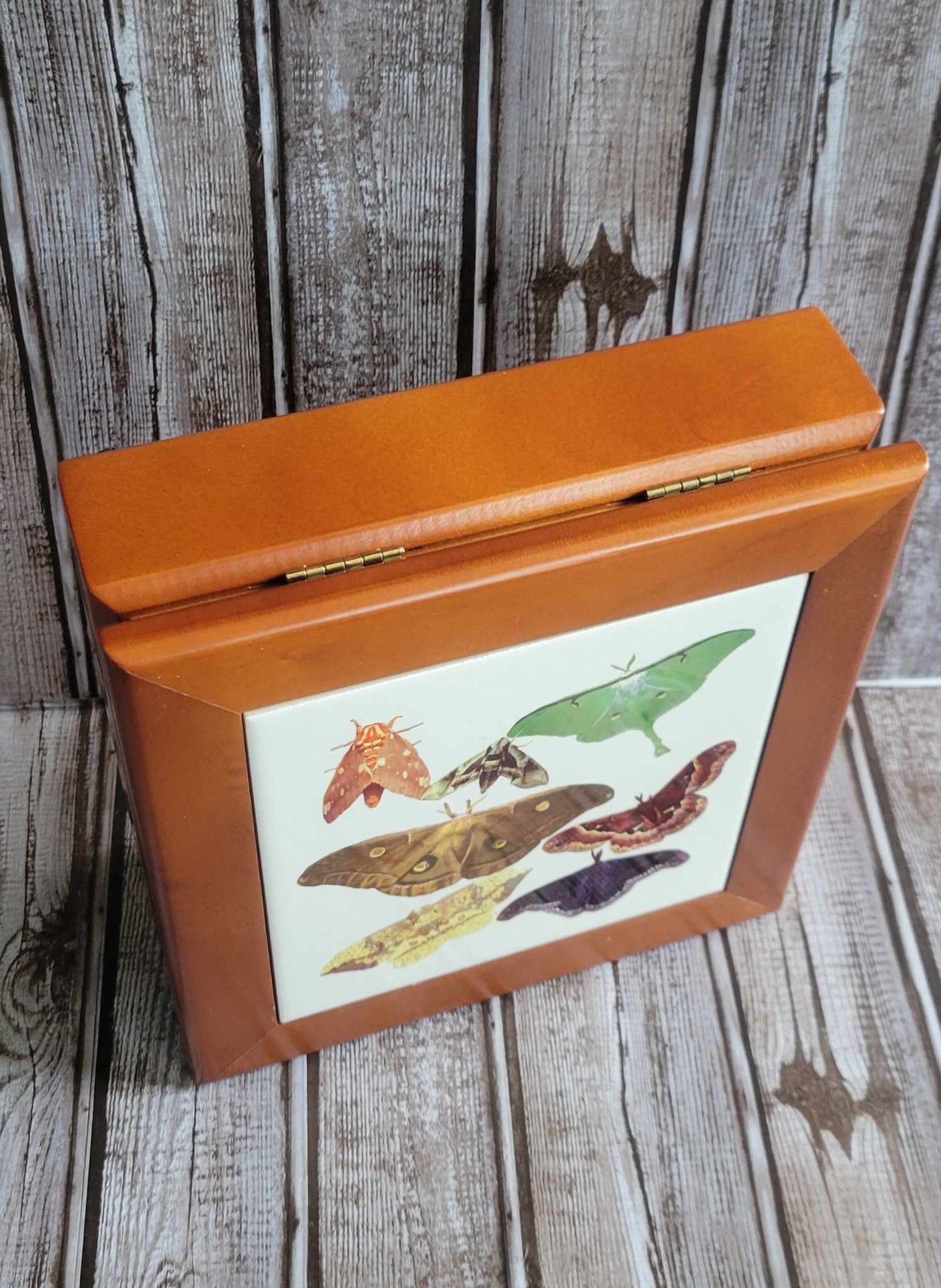 Scott Shupe Large Wooden Box - Butterflies