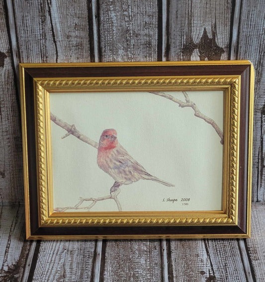 Scott Shupe Framed Art - Damage on Corner Frame - Bird