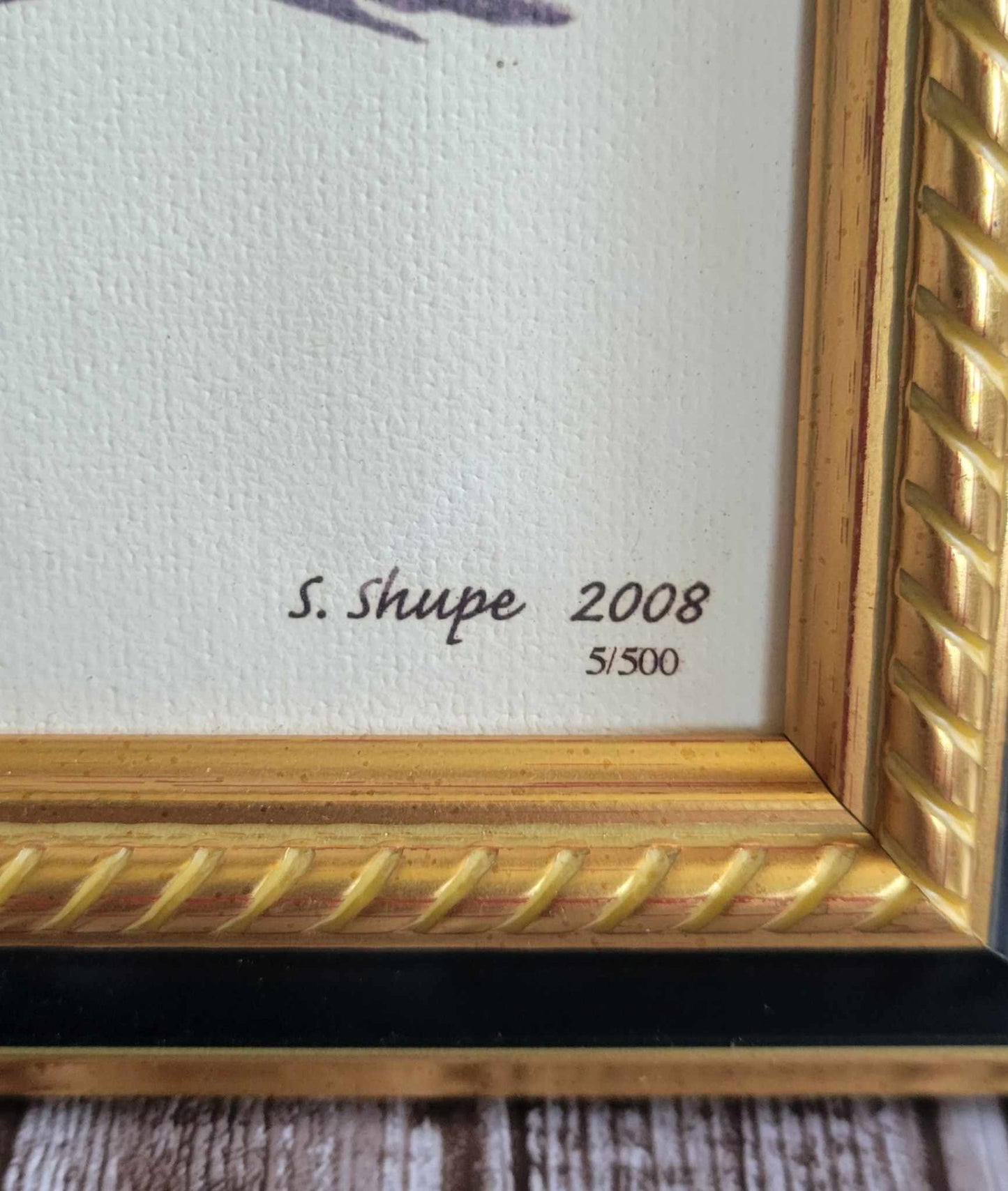 Scott Shupe Framed Art - Frog