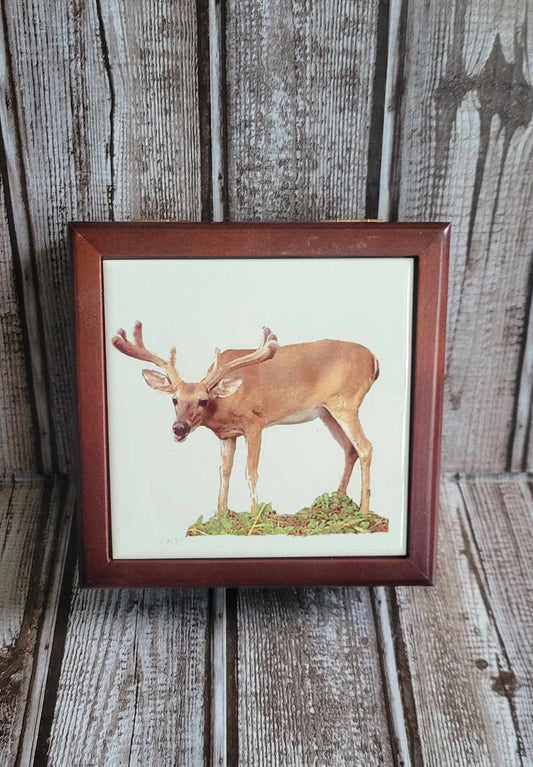 Scott Shupe Small Wooden Box - Deer