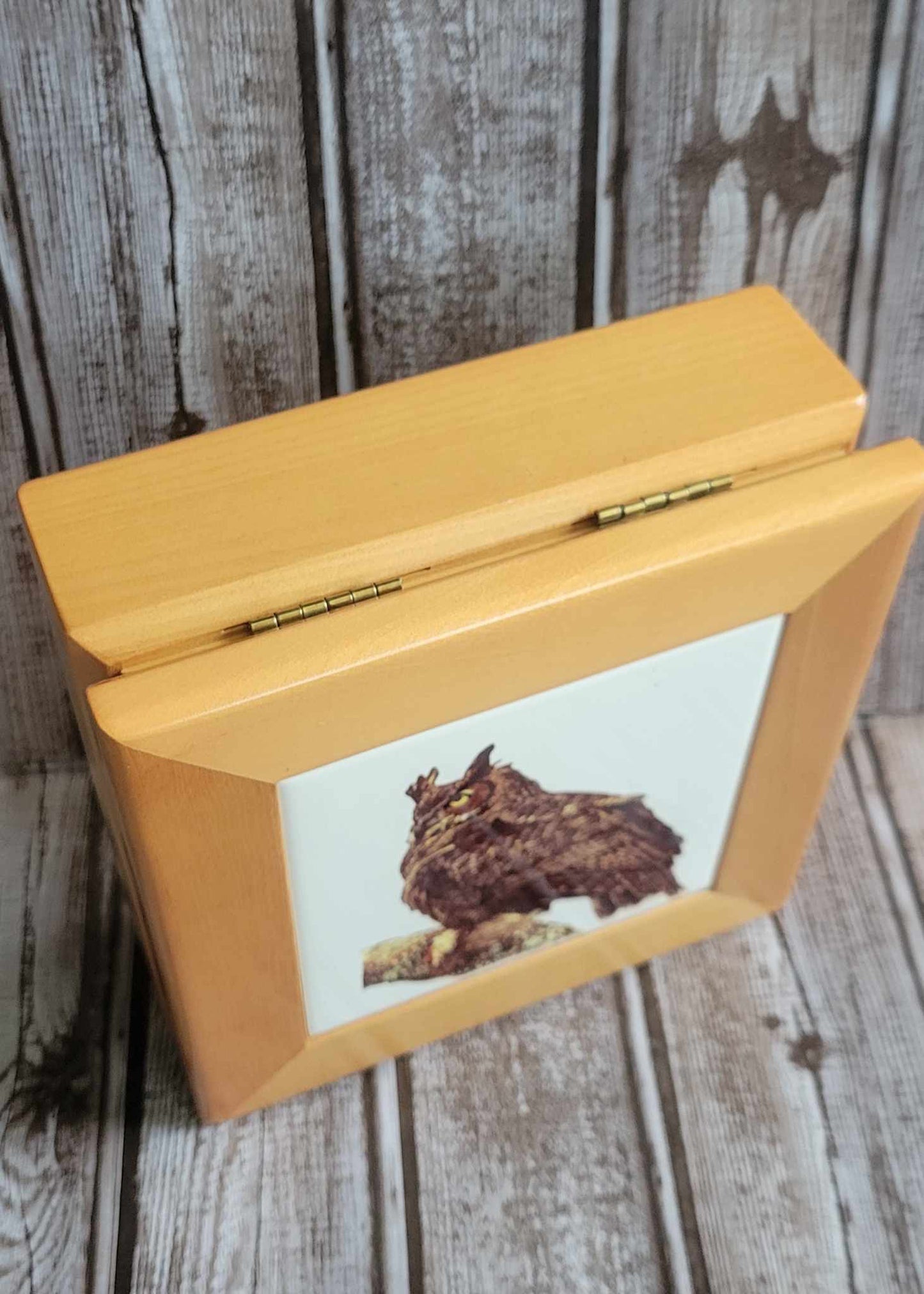 Scott Shupe Single Medium Wooden Box - Owl