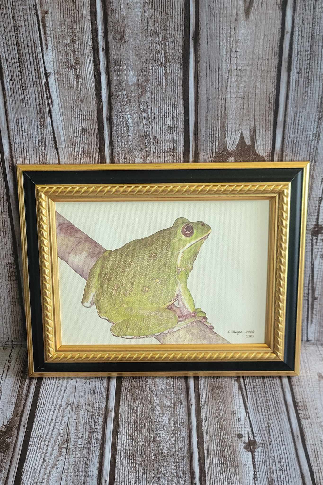 Scott Shupe Framed Art - Frog