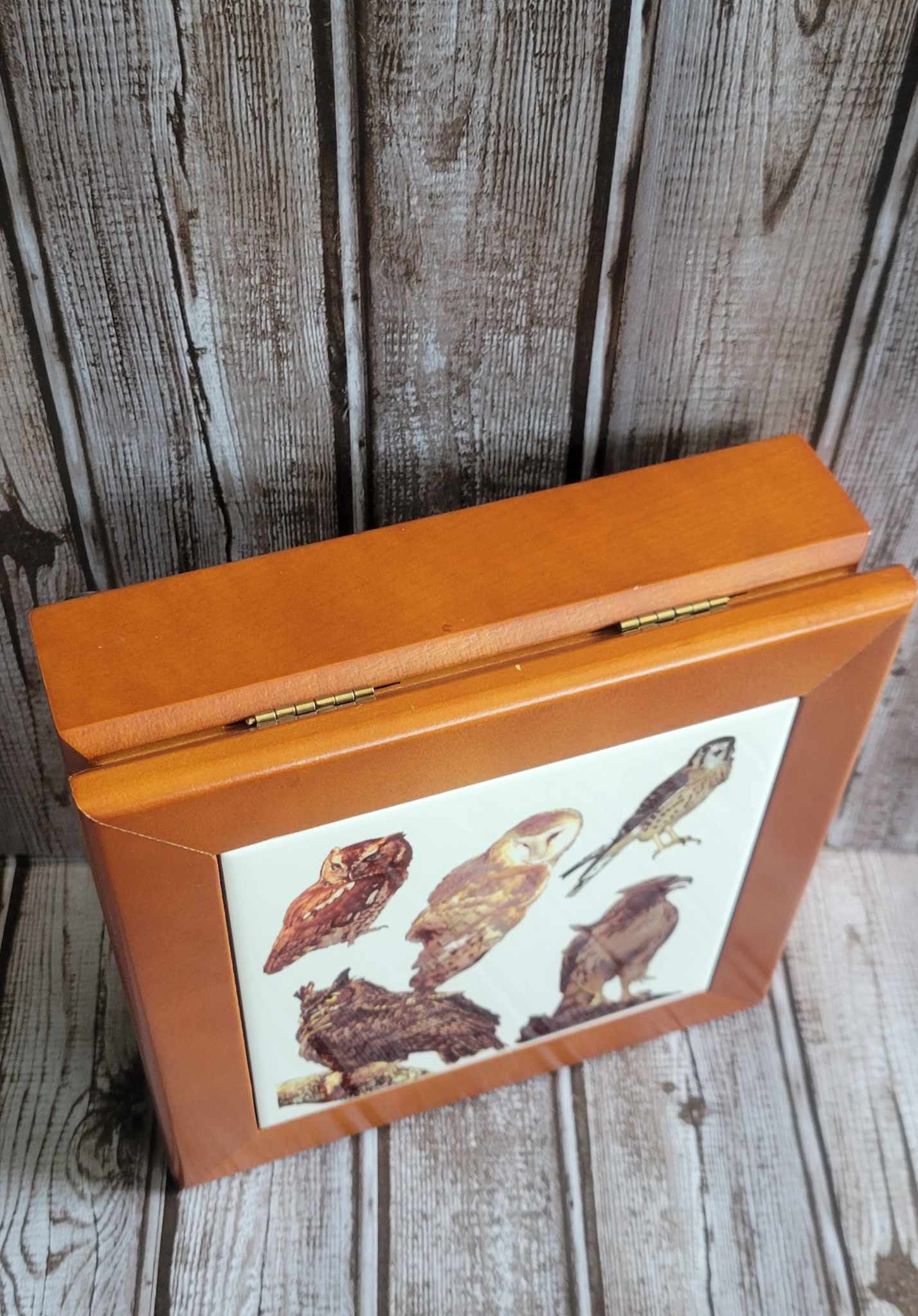 Scott Shupe Large Wooden Box - Owl