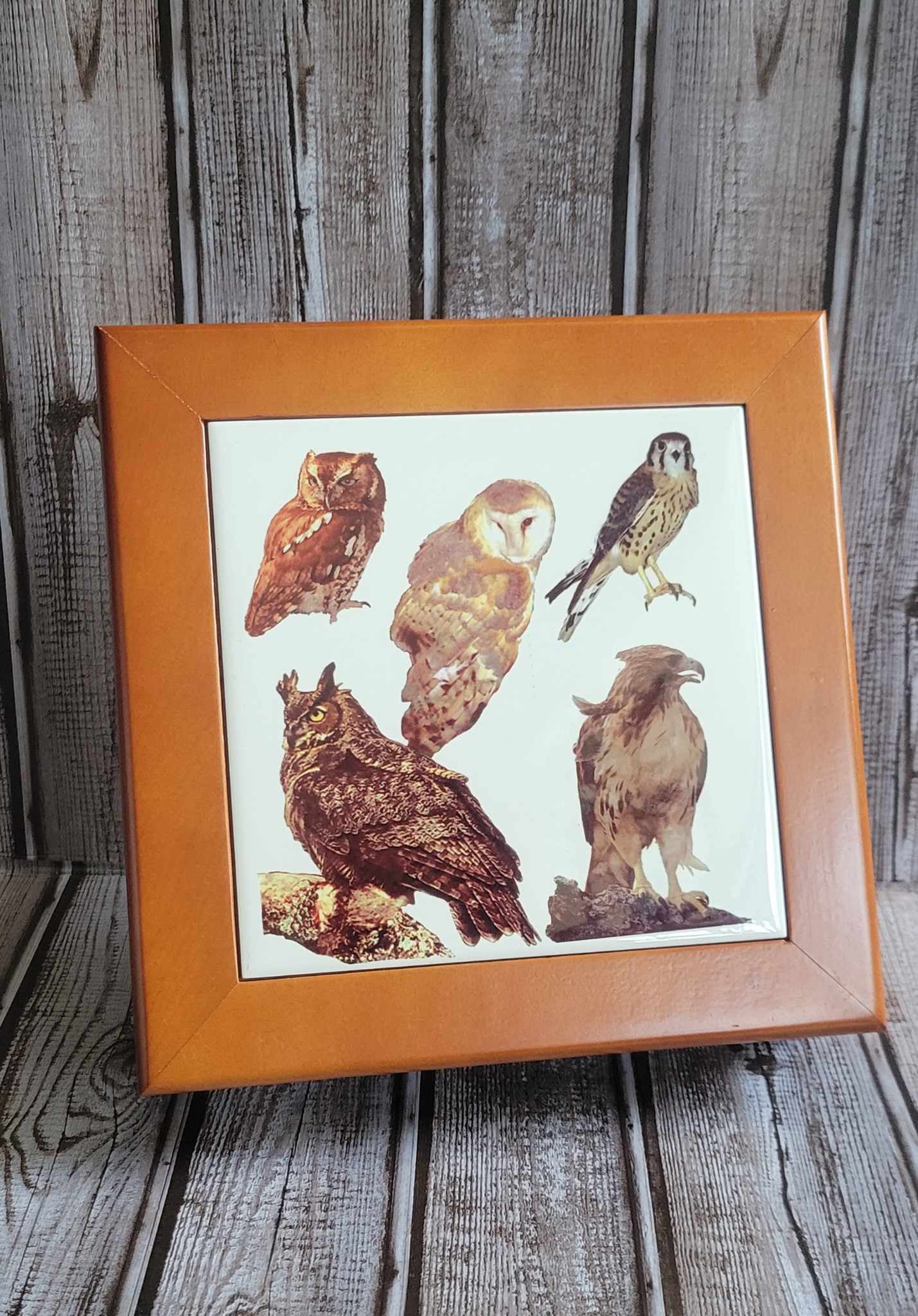 Scott Shupe Large Wooden Box - Owl