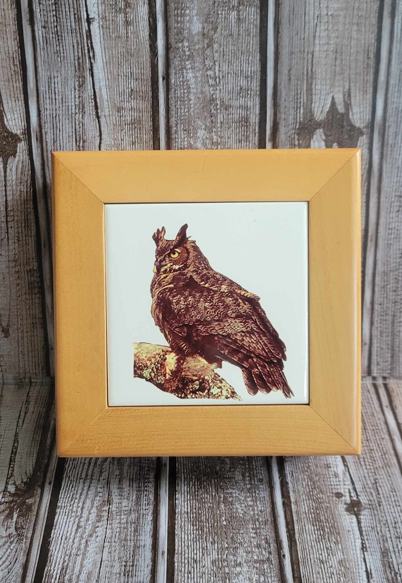 Scott Shupe Single Medium Wooden Box - Owl